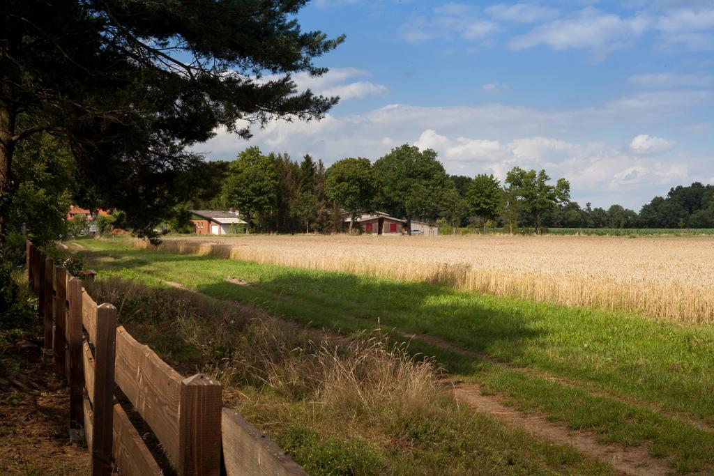 Ferienhaus Heideland Winsen Aller Meißendorf Cameră foto